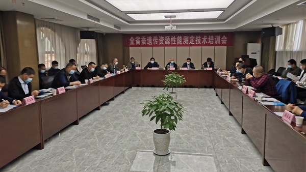 9db612dd017245ff8deebb6f90fa635e.jpg 性能测定会.jpg