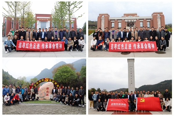 b654555f517b4157b6d81f5efca03a35.jpg NeoImage_副本.jpg