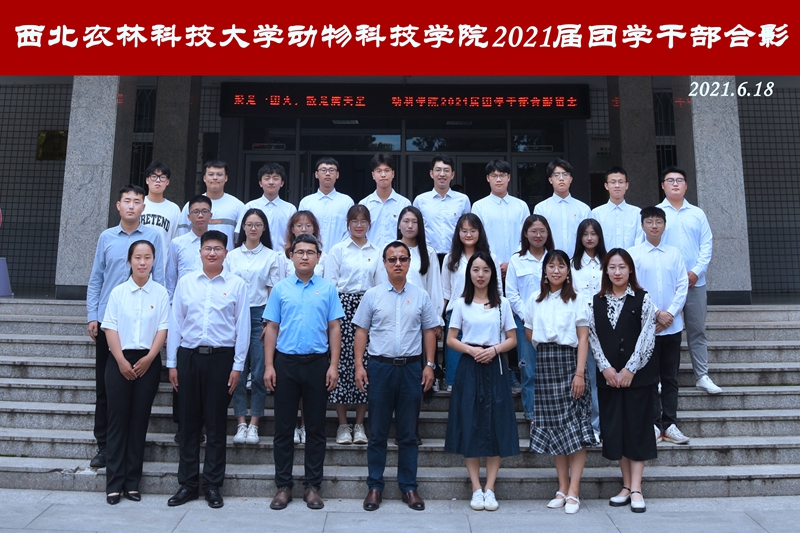 d9bef727cd03424eba0f341e8bb2335b.jpg dfbd4a841c522c8554aca6036c2a90c.jpg