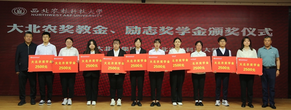 41072c216b4d48be8d5fbe196095da9d.jpg 336A8049.JPG