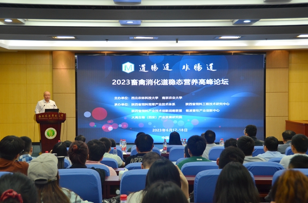 5692db0a573f4d47ab4669085ab2301f.jpg 杨小军教授主持开幕式_副本.jpg